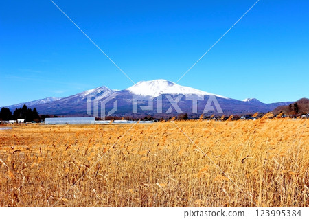 Snow-capped Mt. Asama in February Mountains of Shinshu Scenery in Shinshu 123995384