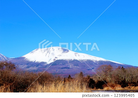 二月白雪皚皚的淺間山 信州的山脈 信州的風景 二月白雪皚皚的淺間山 信州的山脈 信州的風景 123995405