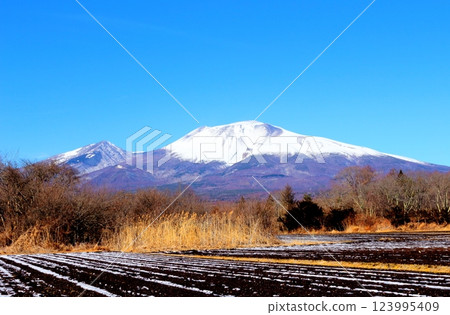 Snow-capped Mt. Asama in February Mountains of Shinshu Scenery in Shinshu 123995409