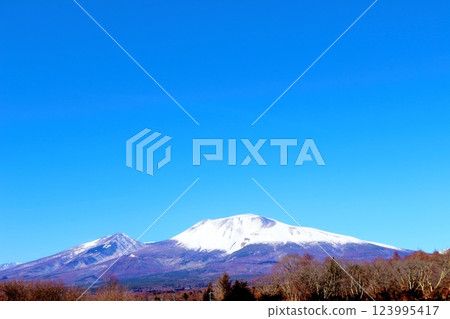 Snow-capped Mt. Asama in February Mountains of Shinshu Scenery in Shinshu 123995417
