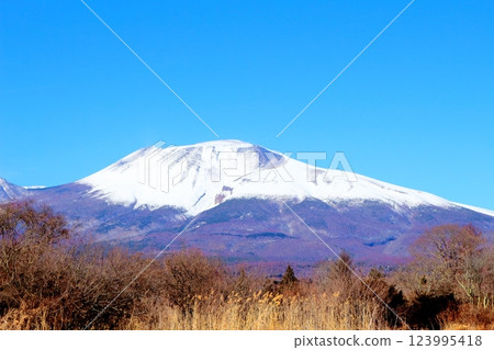 Snow-capped Mt. Asama in February Mountains of Shinshu Scenery in Shinshu 123995418