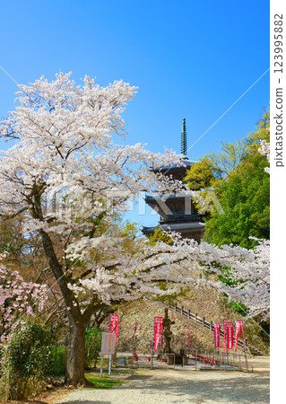 <Shimane Prefecture> Yasugi City: Three-story pagoda of Kiyomizu-dera Temple surrounded by cherry blossoms <Shimane Prefecture> Yasugi City: Three-story pagoda of Kiyomizu-dera Temple surrounded by cherry blossoms 123995882