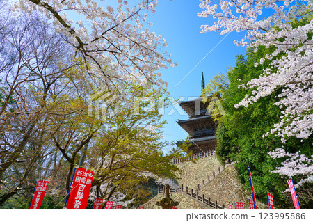 <Shimane Prefecture> Yasugi City: Three-story pagoda of Kiyomizu-dera Temple surrounded by cherry blossoms 123995886