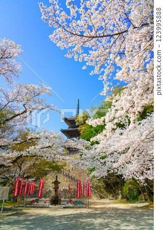 <島根縣>安來市：櫻花環繞的清水寺三重塔 123995888