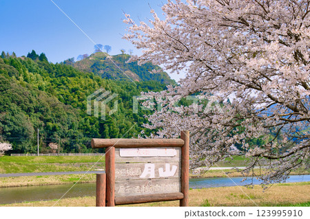 <島根縣>月山戶田城跡、櫻花和招牌 123995910