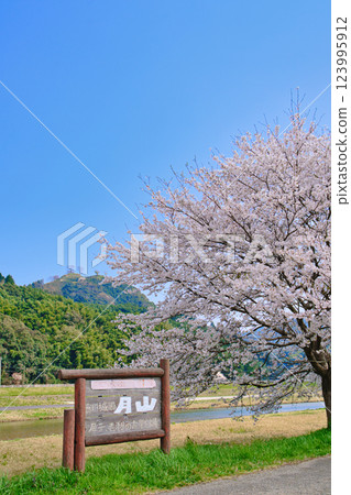 <島根縣>月山戶田城跡、櫻花和招牌 123995912