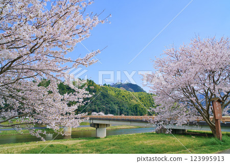 <島根縣>月山戶田城跡、戶田橋和櫻花 123995913