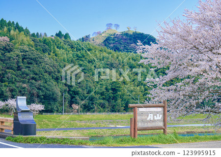 <島根縣>月山戶田城跡、戶田橋和櫻花 123995915