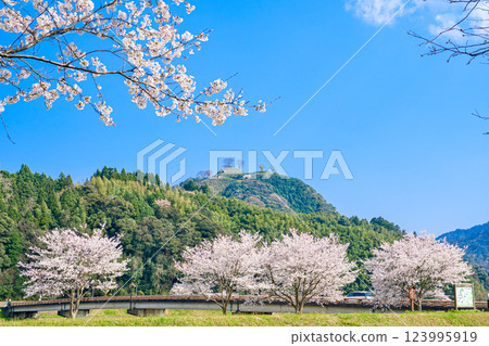 <島根縣>月山戶田城跡、戶田橋和櫻花 123995919