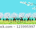 賞櫻：油菜花、櫻花樹和人 123995997