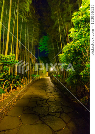 Night view of the bamboo forest path (Shuzenji, Izu City - Shizuoka Prefecture) 123996133