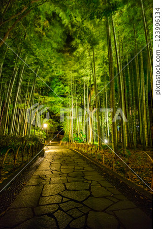 竹林小徑的夜景（靜岡縣伊豆市修善寺） 123996134