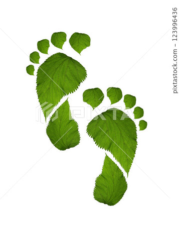 green leaf growing footprints, co2 symbol isolated on White Background. Reduce CO2 emission concept.Clean and friendly environment without carbon dioxide emissions. 123996436