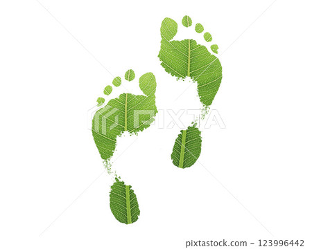 green leaf growing footprints, co2 symbol isolated on White Background. Reduce CO2 emission concept.Clean and friendly environment without carbon dioxide emissions.With clipping path. green leaf growing footprints, co2 symbol isolated on White Background. Reduce CO2 emission concept.Clean and friendly environment without carbon dioxide emissions.With clipping path. 123996442