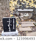 Frog 123996493