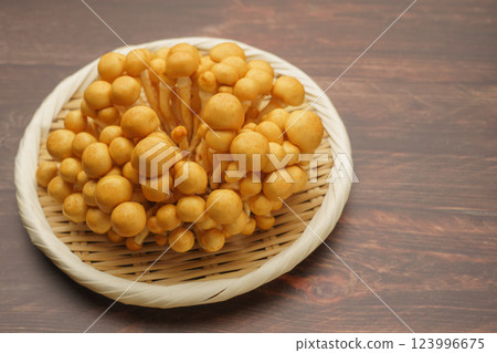 Nameko 123996675