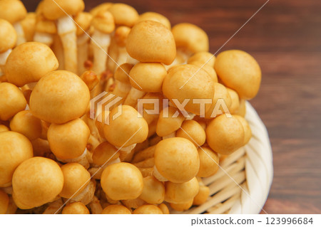 Nameko 123996684