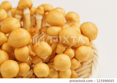 Nameko Nameko 123996685