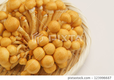 Nameko Nameko 123996687