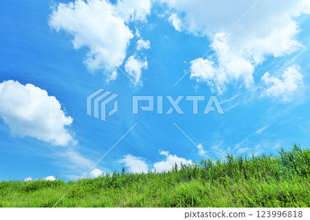 Refreshing summer blue sky and fresh green meadow landscape Refreshing summer blue sky and fresh green meadow landscape 123996818