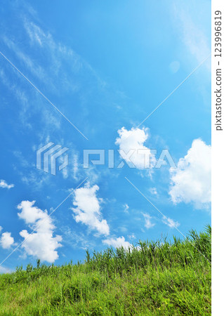 清爽的夏日藍天和清新的綠色草甸景觀 123996819
