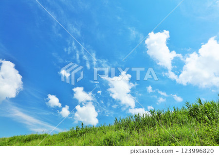 清爽的夏日藍天和清新的綠色草甸景觀 清爽的夏日藍天和清新的綠色草甸景觀 123996820