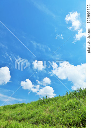 清爽的夏日藍天和清新的綠色草甸景觀 123996821
