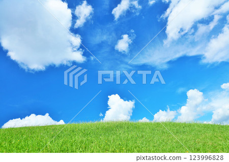 Refreshing summer blue sky and fresh green meadow landscape 123996828