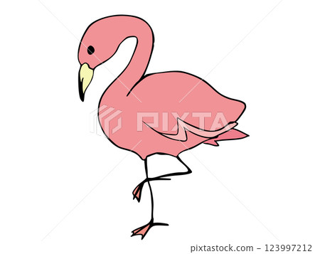 圓形火烈鳥 123997212