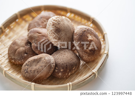 Thick and delicious shiitake mushrooms Thick and delicious shiitake mushrooms 123997448
