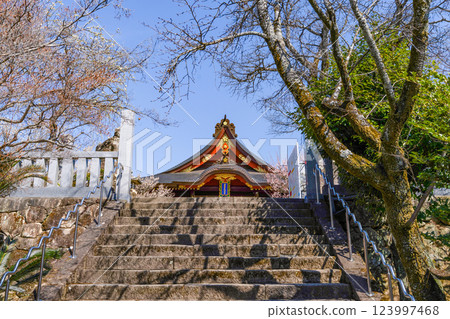 岩津天滿宮（愛知縣岡崎市）梅花節 123997468
