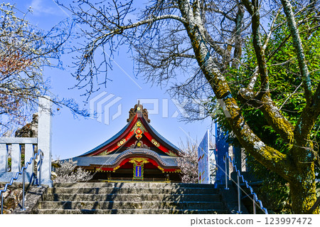 岩津天滿宮（愛知縣岡崎市）梅花節 123997472