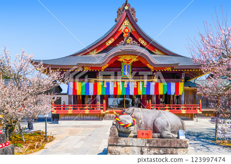 Iwatsu Tenmangu Shrine (Okazaki City, Aichi Prefecture) Plum Festival Iwatsu Tenmangu Shrine (Okazaki City, Aichi Prefecture) Plum Festival 123997474
