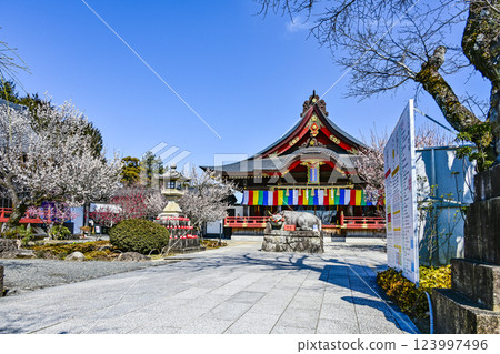 Iwatsu Tenmangu Shrine (Okazaki City, Aichi Prefecture) Plum Festival Iwatsu Tenmangu Shrine (Okazaki City, Aichi Prefecture) Plum Festival 123997496