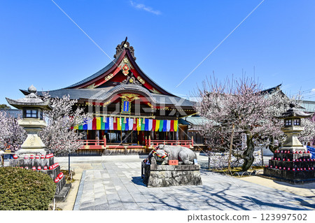 Iwatsu Tenmangu Shrine (Okazaki City, Aichi Prefecture) Plum Festival Iwatsu Tenmangu Shrine (Okazaki City, Aichi Prefecture) Plum Festival 123997502