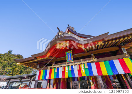 岩津天滿宮（愛知縣岡崎市）梅花節 123997503