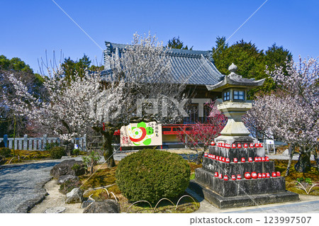 岩津天滿宮(愛知縣岡崎市)梅花節 岩津天滿宮(愛知縣岡崎市)梅花節 123997507