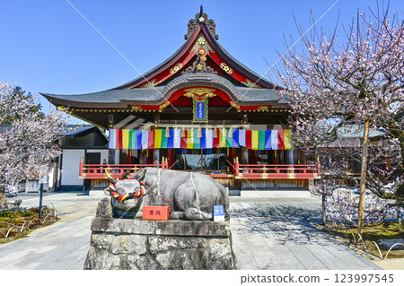 Iwatsu Tenmangu Shrine (Okazaki City, Aichi Prefecture) Plum Festival Iwatsu Tenmangu Shrine (Okazaki City, Aichi Prefecture) Plum Festival 123997545