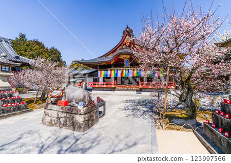 Iwatsu Tenmangu Shrine (Okazaki City, Aichi Prefecture) Plum Festival Iwatsu Tenmangu Shrine (Okazaki City, Aichi Prefecture) Plum Festival 123997566