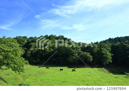 Hoshifurusato Farm, rich in nature 123997604