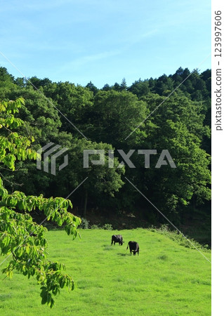 Hoshifurusato Farm, rich in nature 123997606