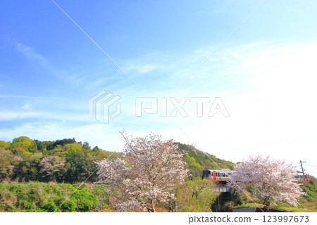A local train running through spring scenery starting to change color 123997673