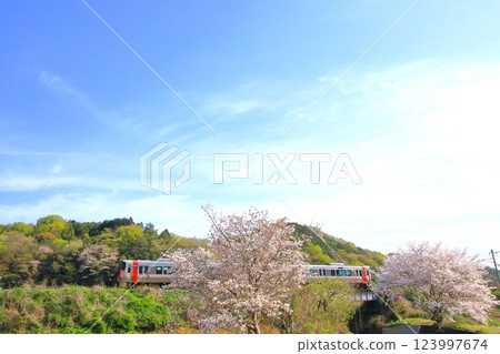 A train running leisurely through the woods where the leaves are starting to change color 123997674