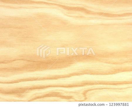 Natural wood pattern and abstract wood texture Natural wood pattern and abstract wood texture 123997881