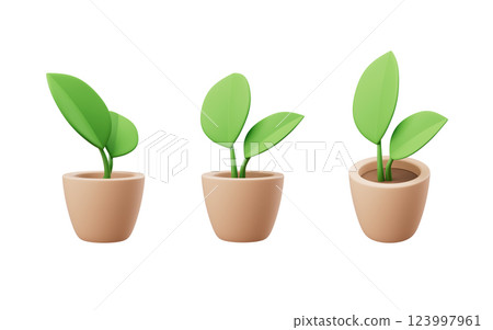decorative, growing, object 123997961