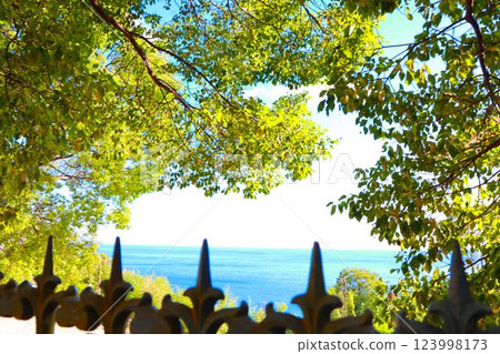 The sea seen through the trees 123998173