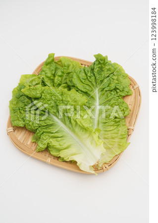 生菜和包裹的蔬菜 生菜和包裹的蔬菜 123998184
