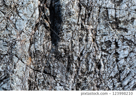 Rock wall surface Rock wall surface 123998210
