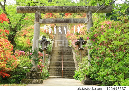 Azaleas at Atago Shrine in Ome City Azaleas at Atago Shrine in Ome City 123998287