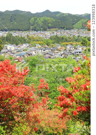 青梅市愛宕神社的杜鵑花 青梅市愛宕神社的杜鵑花 123998318